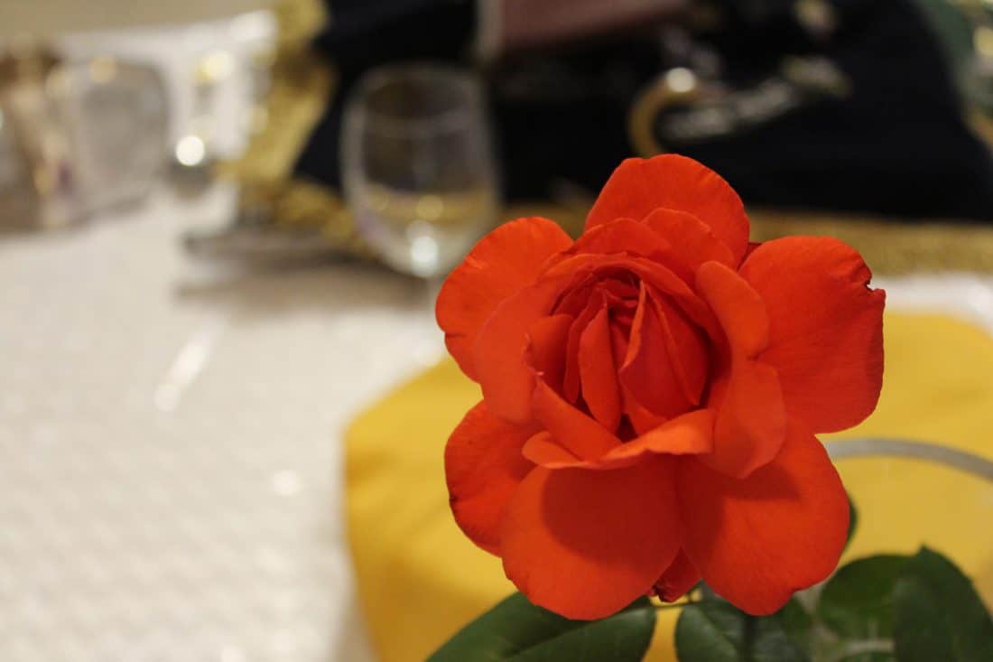 Rose on Shabbos Table