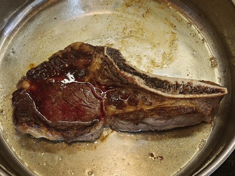 Shabbos Parshas Chukas 5786 Roundup