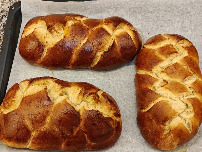 Shabbos Parshas Korach 5786 Roundup