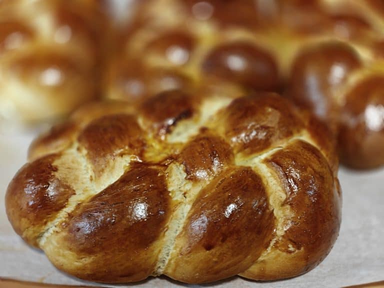 Parshas Noach 5787 Roundup